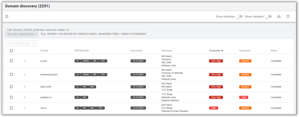 Asset and Domain Discovery to identify cybersquatting - detail Screenshot